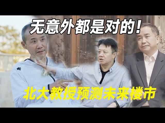 北大教授们预测中国未来楼市走势，若无意外，或大概率都是对的！    #十三邀 #许知远#罗翔#王石