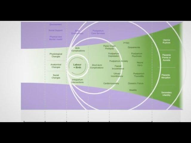 Maternal health in the perinatal period and beyond: Neglected consequences of labour and childbirth.