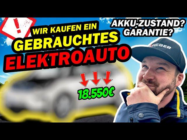 Wir KAUFEN ein GEBRAUCHTES ELEKTROAUTO für UNTER 20.000€ - ABER VORSICHT beim AKKU! | EFIEBER