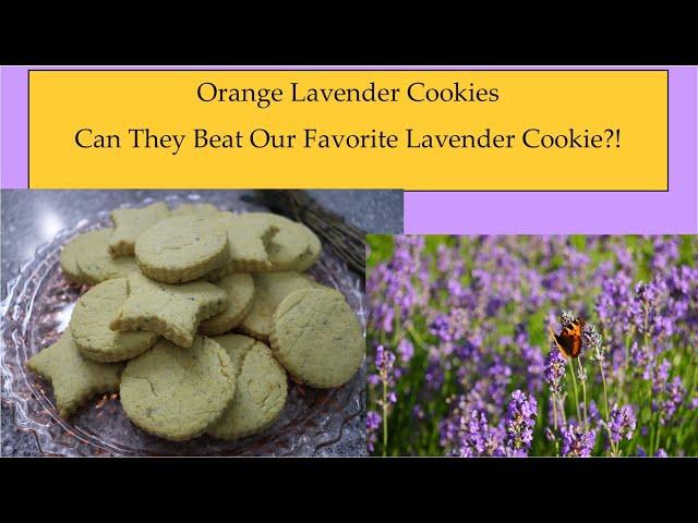 Orange Lavender Cookies! Perfect with Tea or Coffee!