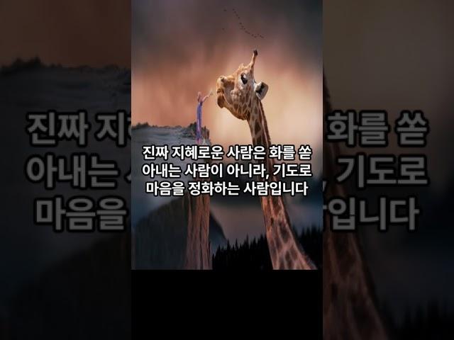 한 방이면 끝나요.. #설교 #예배 #말씀 #심재웅목사