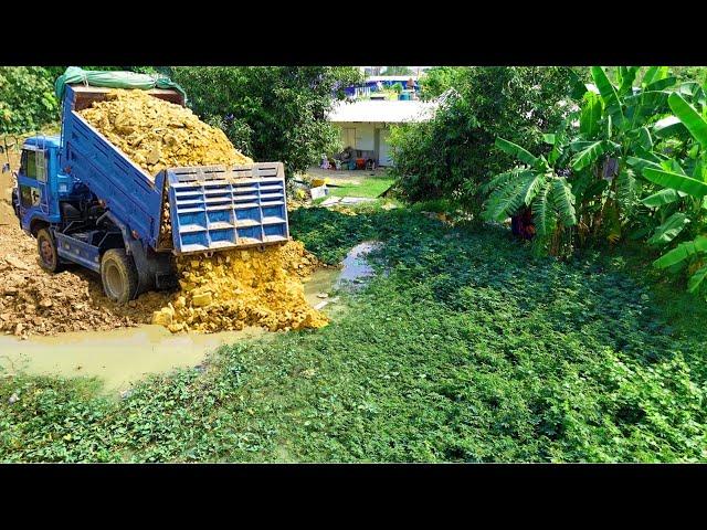 Nicely Job proseccing Project!Dump Truck Filling land Delete Pond, Bulldozer D20P Pushing Perfectly