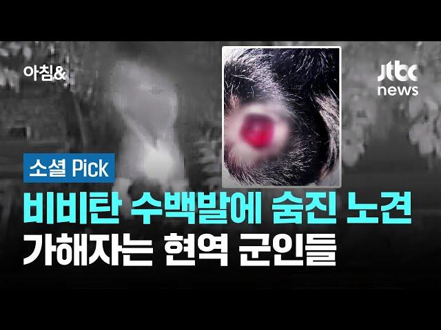 [단독] '비비탄' 수백발에 숨진 노견…가해자는 현역군인 포함 3명 #소셜픽 / JTBC 아침&