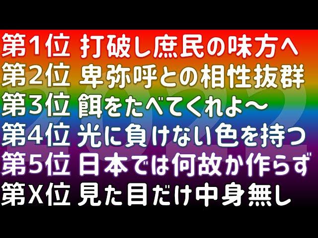 【2022年】買って良かったもの＆悪かったものランキング2022【ふぶきテトラ】