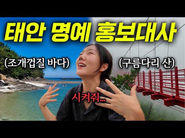 태안의 숨은 명소를 찾아서..⭐️ 바다와 산을 넘나드는 명예 홍보대사의 알찬 하루 | 시골일상