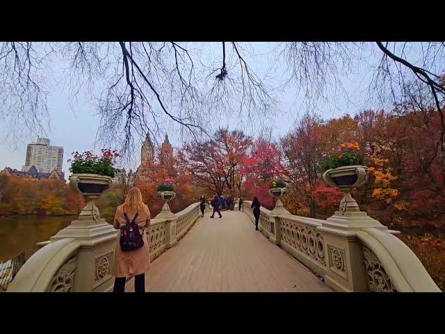 #38 The magic of Autumn kala'svlog