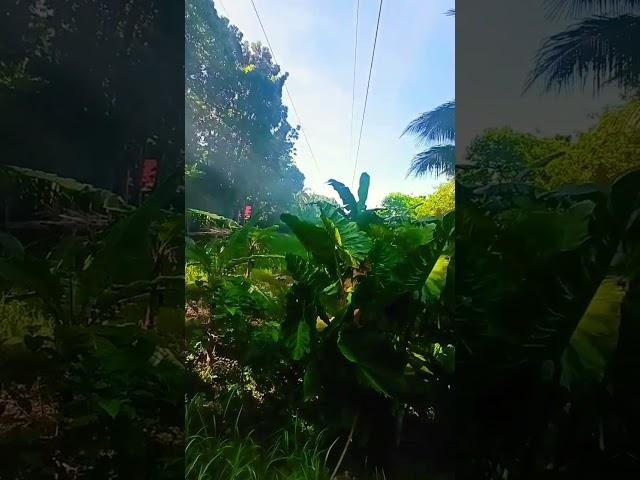 Adventure life 