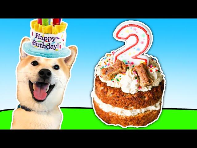 How to Make a Doggy Birthday Cake 