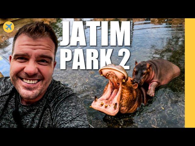 I found Indonesia’s secret zoo (It’s incredible!)