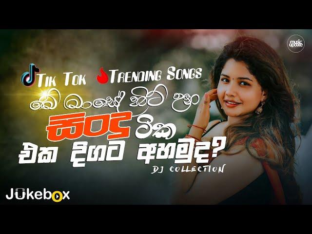 2024 Tik Tok Hit Songs (මේ මාසේ හිට් උන ටික එක දිගට අහමු) Tik Tok Hit Songs playlist (2024)