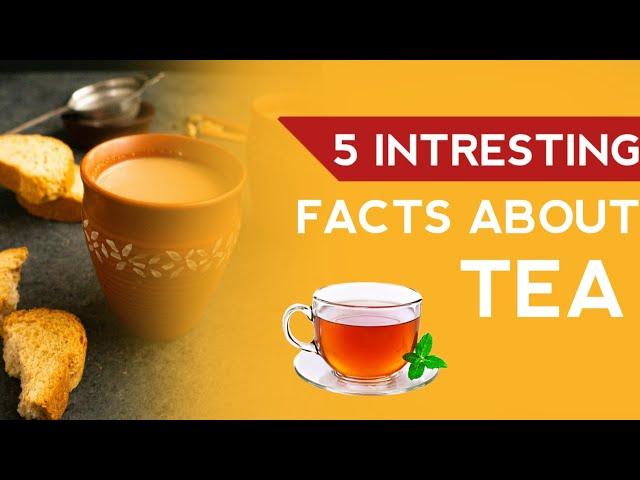 4 INTRESTING FACTS ABOUT TEA / UNI FACTS