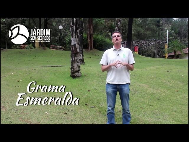 Grama esmeralda - Jardim sem segredo