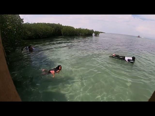 Negros 1st San Carlos City plaag to Sipaway Island (baibayon resort, mangrove, white beach, island)