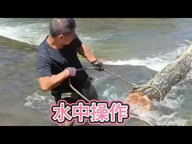 The old father-in-law's hometown was helped by the government. Lao Luo came to help cut down trees.