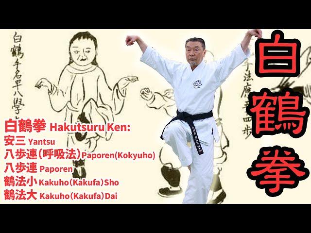 糸東流秘伝【白鶴拳】柔らかくも危険すぎる「開手と弧拳」！型分解で学ぶ！白鶴拳の真髄　Hakutsuruken: Famous KATA from the movie KARATE KID!