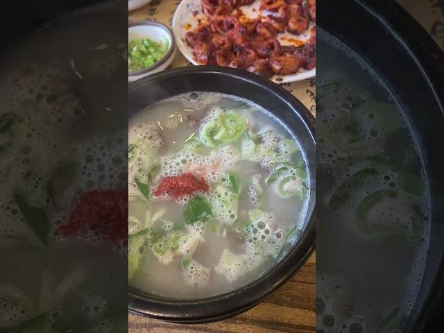 상주 용궁단골식당 상주국밥 맛집