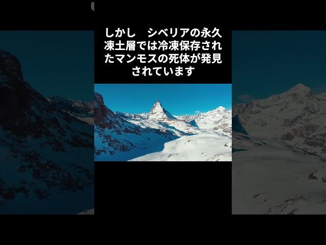 マンモスはゾウの祖先ではなく親戚　実はまだ生きてる？　#マンモス#ゾウ#進化#絶滅#復活#科学#倫理#生物多様性#シベリア#永久凍土#DNA#クローン技術#生態系#未来
