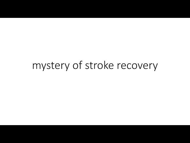 Mystery of Stroke Recovery