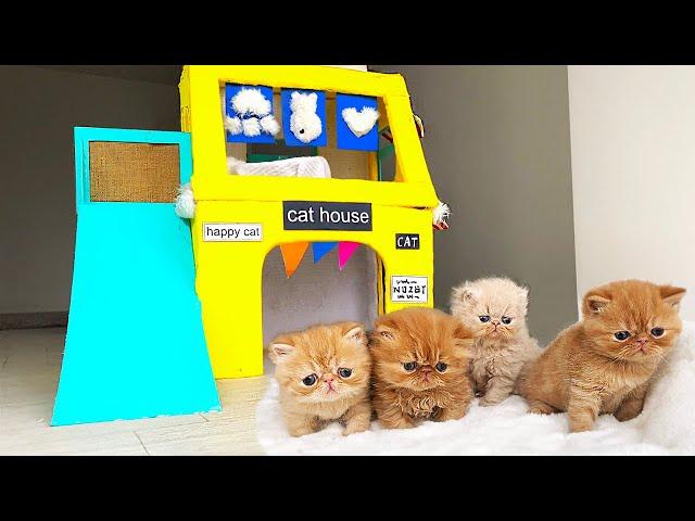 True Story about the Smallest KITTENS! The most Amazing Kitten Cat Pet House from Cardboard