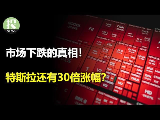 今天市场终于开始大回调了吗？川普1.0时代，市场发生了什么？巴菲特建仓这只股，堪比可口可乐；著名投资人声称，特斯拉还有30倍！英伟达超前的AI布局