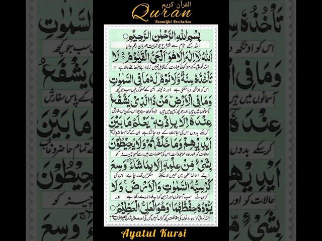 #ayatulkursi #ayatkursi #ayatul_kursi #kursi #quran #quraan #quranrecitation #recitation #islam #1m