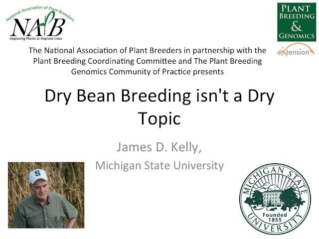 Dry Bean Breeding Isn't a Dry Topic Webinar