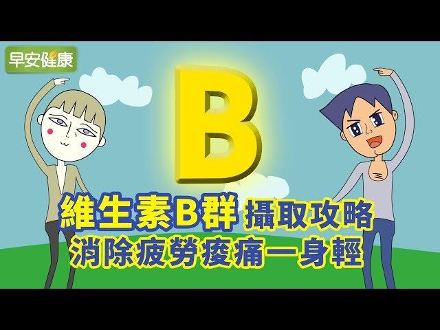 維生素B群攝取攻略，消除疲勞痠痛一身輕【早安健康】