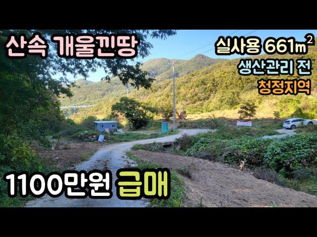 (매물번호13836) 1100만원 보은부동산 보은땅 보은토지매매매물 청주부동산 청주토지 시골땅 촌땅 싼땅 급매 농막 주말농장 전원주택지 집터 대전부동산 대전토지