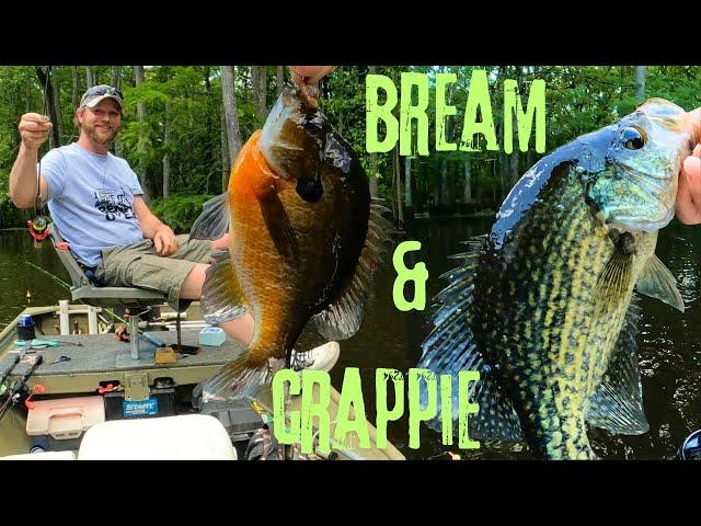 Catching Bream and Crappie - Fishing in the swamp - Jigs and bobbers