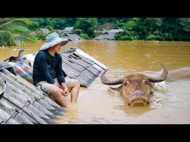 Devastating Floods in Vietnam's Northwest - SAPA TV's Aid to Help Families Rebuild | SAPA TV