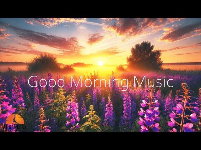 528HZ Good Morning Peace Music  Destroy All Negativity - Start Your Day With Positive Energy