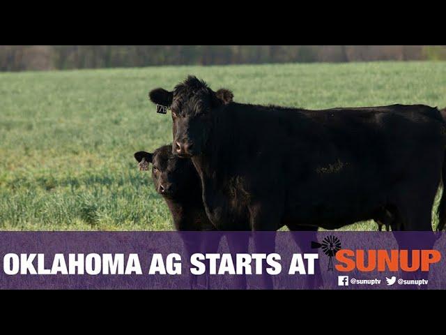 Cow-Calf Corner - Importance of Colostrum (1/2/21)