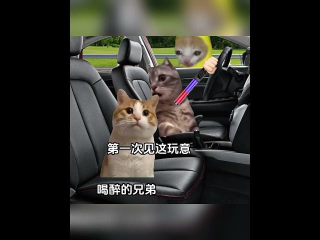 后车：关系这么硬吗 #猫meme #猫meme小剧场 #搞笑  #cat #故事 #funny  #貓 #搞笑 #pets  #香蕉 #cute #迷恋 #memes #memesvideo