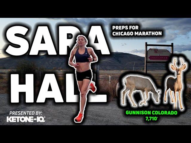 Sara Hall Runs Impressive Final Threshold Effort Before Chicago Marathon | Workout Wednesday