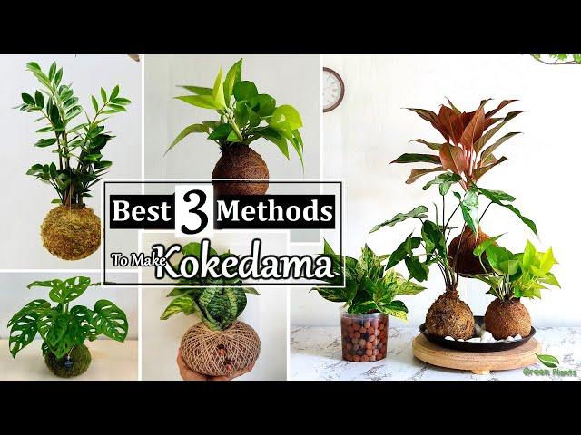 Best 3 Methods to Make Kokedama at Home | How to Make Moss Ball for Indoor Plants//GREEN PLANTS