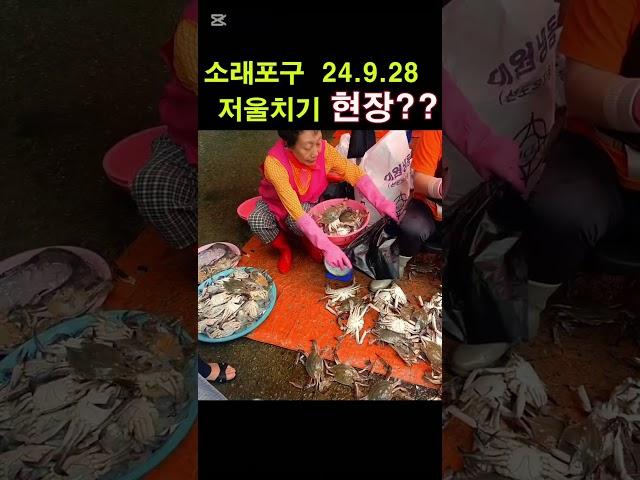 소래포구 24.9.28 난전어시장 저울 바꿔치기 현장??
