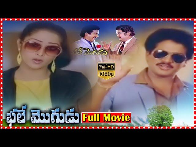 Bhale Mogudu Super Hit Comedy Movie || Rajendra Prasad || Rajani Praveen || Kinnera || Movie Express