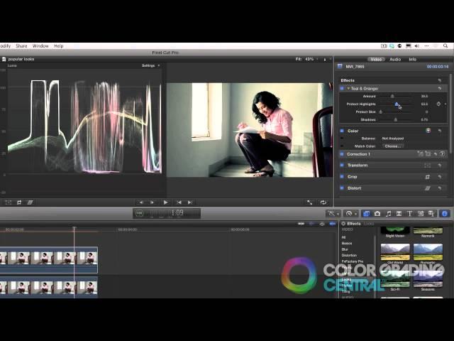 12. Final Cut Pro X Color Correction Tutorial: Popular Looks