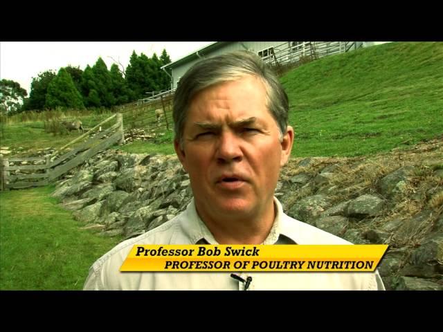 Poultry CRC Overview