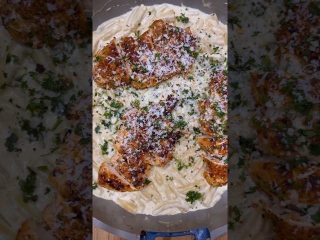 The BEST Chicken Alfredo 