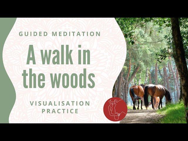 Ride with me in a beautiful Scottish forest // Breathing Visualisation & Audio