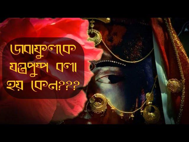 জবাফুলকে যন্ত্রপুষ্প কেন বলে???