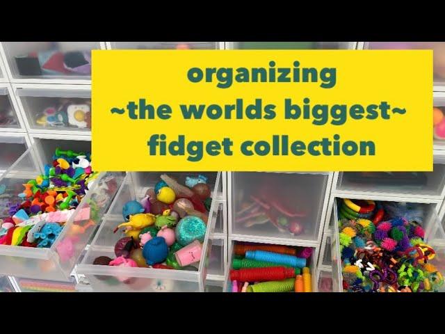 Organizing the WORLD’S LARGEST FIDGET COLLECTION!!!  @MrsBench