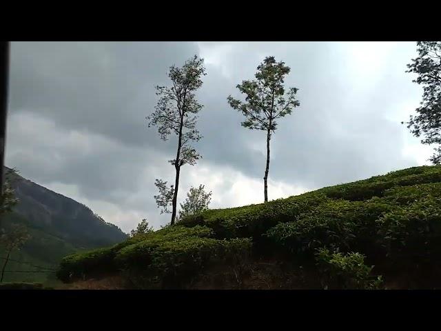 Munnar ecopoint || #Munnar #southindian #ecopoint