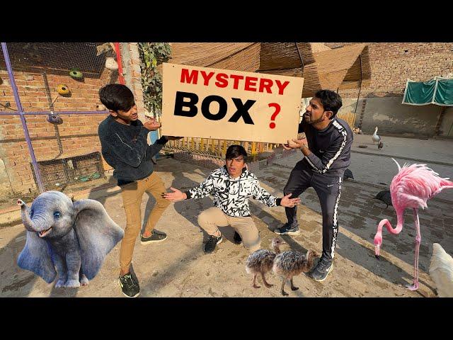 Itna Bara Mystery Box Agea  is Me Kia Ho Ga ?