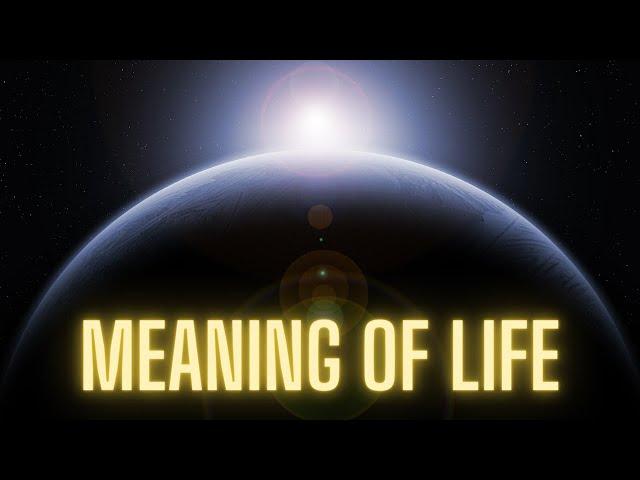 Alan Watts - The Meaning Of Life