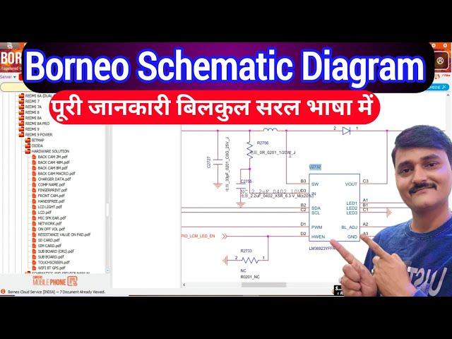 Borneo schematic and hardware solution | How to use borneo schematic in hindi