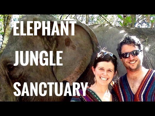 Elephant Jungle Sanctuary - Chiang Ma, Thailand