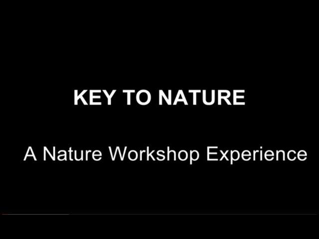 Key to Nature: a Nature Workshop Experience at RJB, CSIC