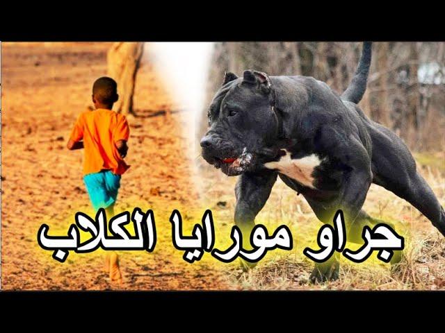 أسوأ نهار في حياتي 